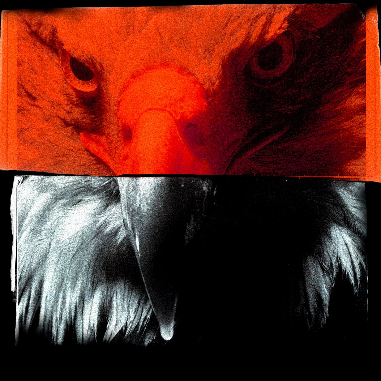 The WIRED Guide to Protecting Yourself From Government Surveillance